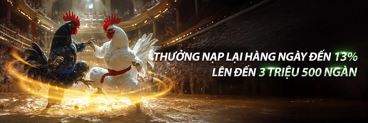 Đá gà trực tuyến KV88 WIN